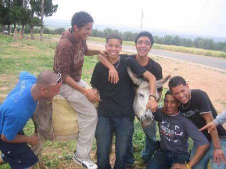 wllah ila had lhmar msnhous mais maskin chou be3da fin tah